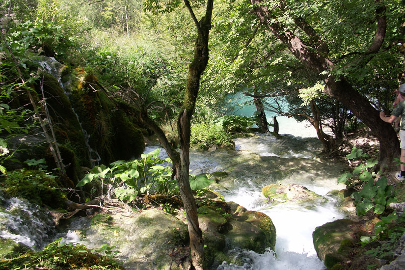 Obraz 139